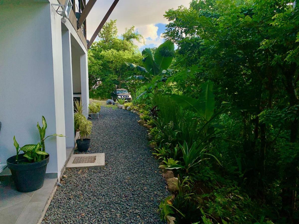 Les Gites De La Reserve Bouillante Exterior photo
